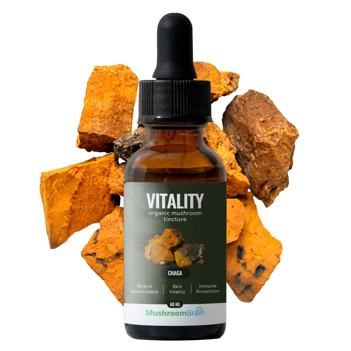 Chaga Mushroom Extract: Nature’s Secret for Energy and Vitality