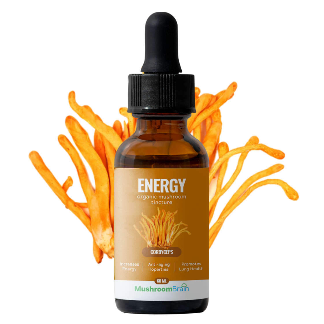 Cordyceps Unleashed: Nature’s Powerhouse for Energy and Vitality Available with Mushroom Brain’s Cordyceps Mushroom Extract