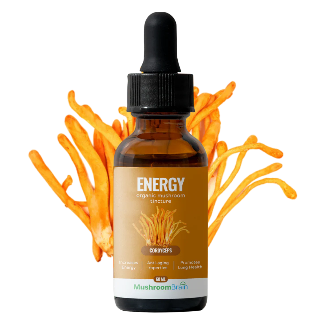 cordyceps mushroom extract
