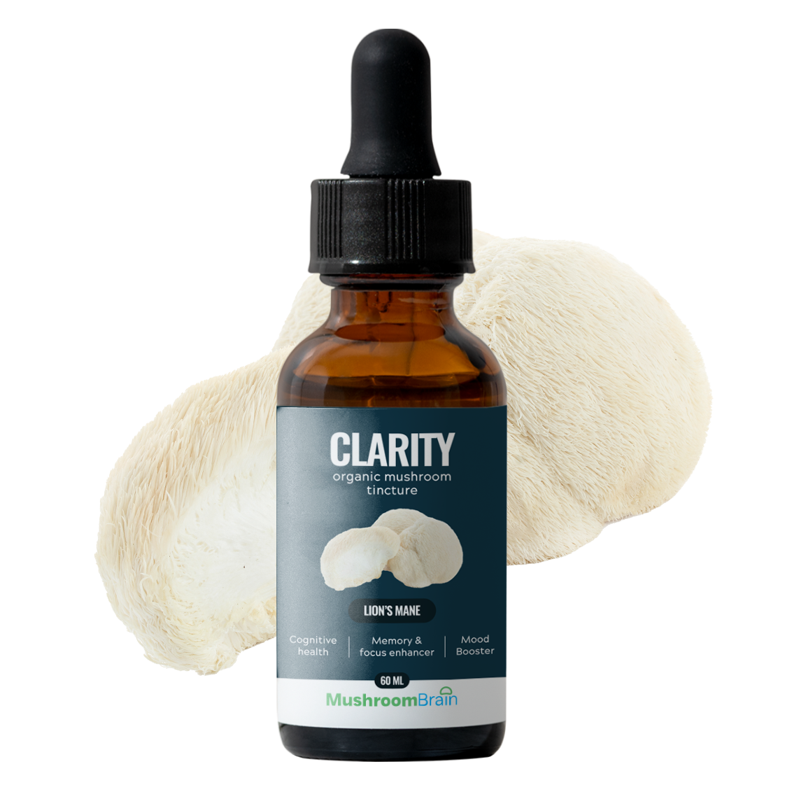 Boost Memory and Mind with Lion’s Mane Mushroom Extract