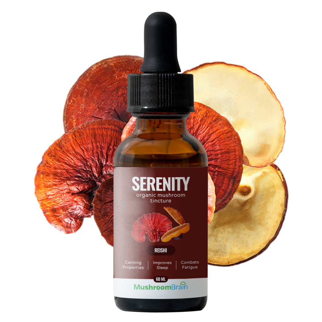 Reishi Revival: Tapping Into the Mushroom of Immortality with Mushroom Brain’s Reishi Mushroom Extract