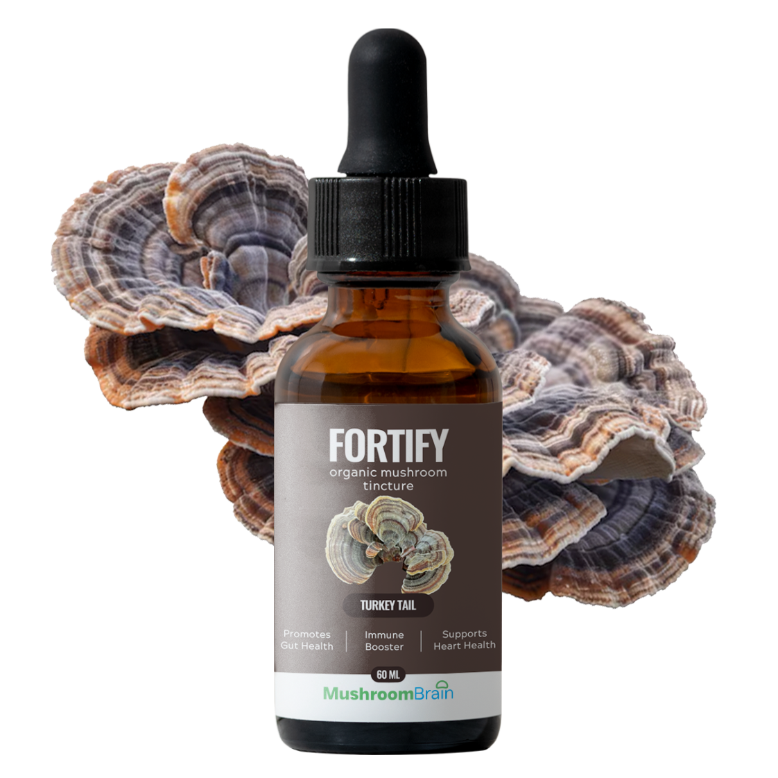 The Science Behind Turkey Tail Mushroom Extract and Immune Health