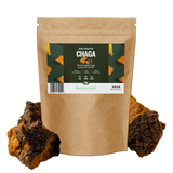 Chaga Mushrooms