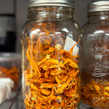 Energy - Cordyceps