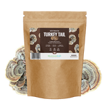 Turkey Tail Mushrooms 10g