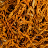 Cordyceps Mushrooms 10g